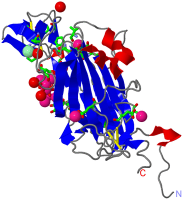 Image Asym./Biol. Unit - sites