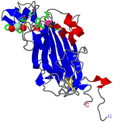 Image Asym./Biol. Unit - sites