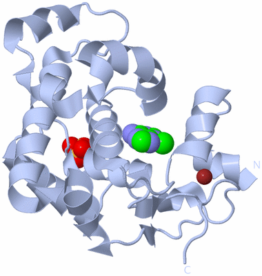 Image Biological Unit 1