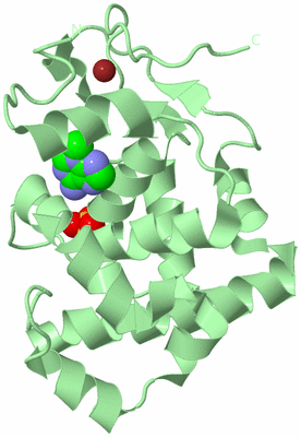 Image Biological Unit 2