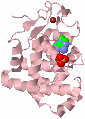 Image Biological Unit 3