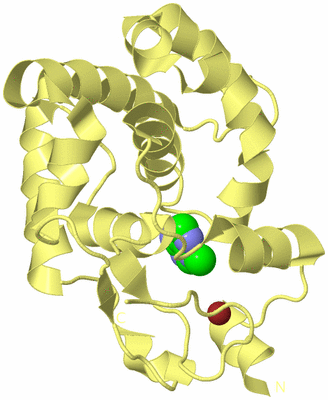 Image Biological Unit 4