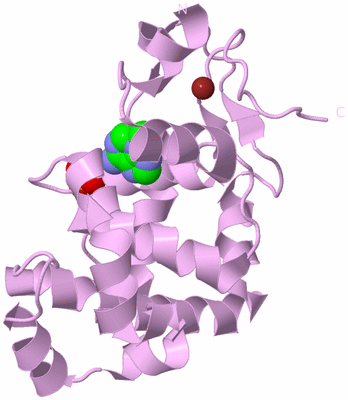 Image Biological Unit 5