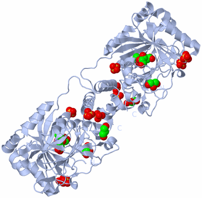 Image Biological Unit 1