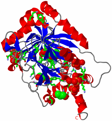 Image Asym. Unit - sites