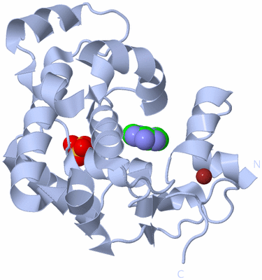 Image Biological Unit 1