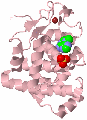 Image Biological Unit 3