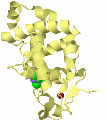 Image Biological Unit 4