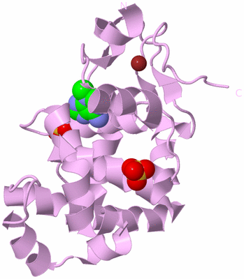 Image Biological Unit 5