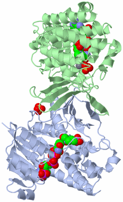 Image Asym./Biol. Unit