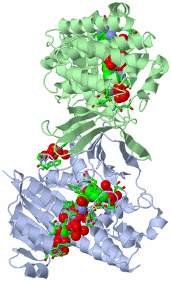 Image Asym./Biol. Unit - sites