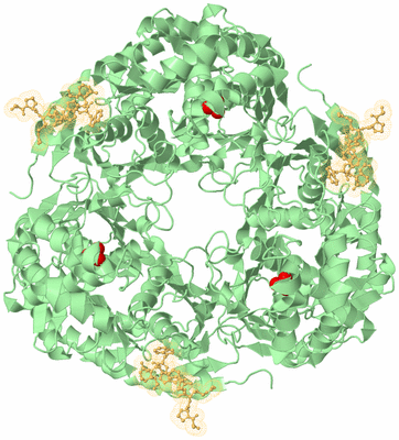 Image Biological Unit 2