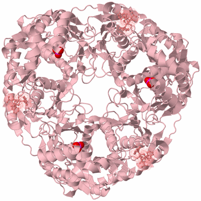 Image Biological Unit 3