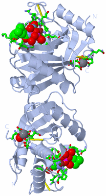 Image Biol. Unit 1 - sites