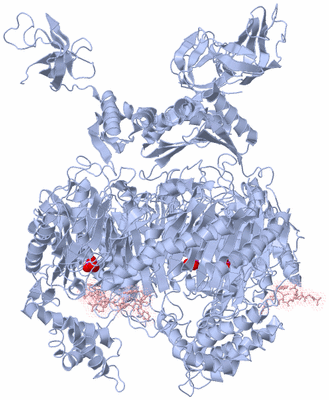 Image Biological Unit 1