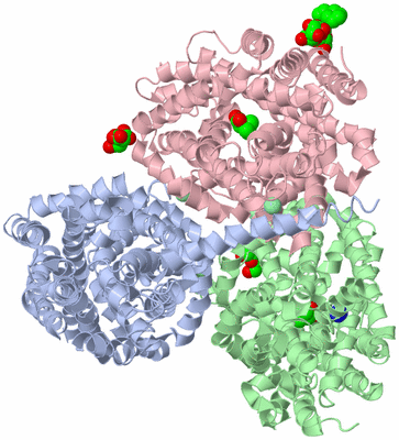 Image Asym./Biol. Unit