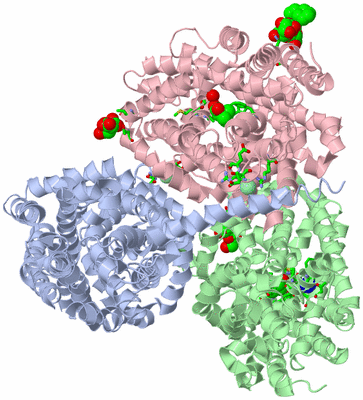 Image Asym./Biol. Unit - sites