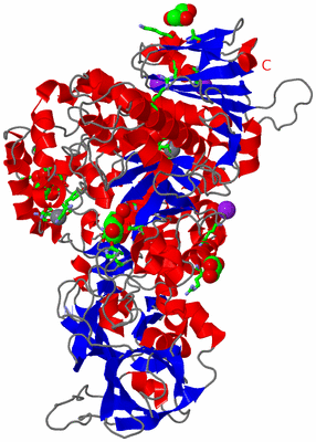 Image Asym./Biol. Unit - sites