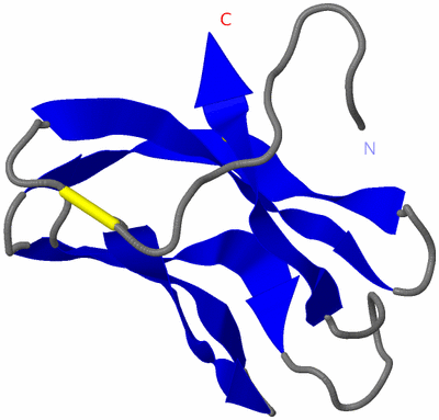 Image NMR Structure - model 1