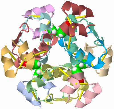 Image NMR Structure - model 1