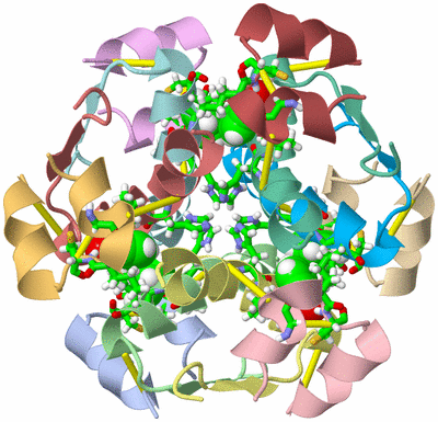 Image NMR Structure - model 1, sites