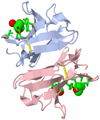 Image Biol. Unit 1 - sites