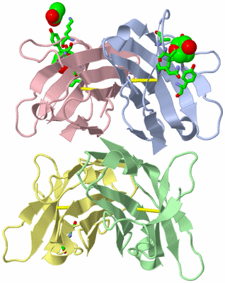 Image Asym. Unit - sites