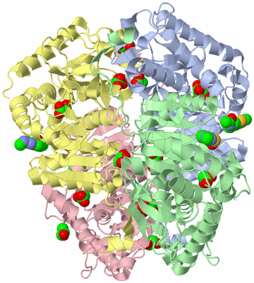 Image Asym./Biol. Unit