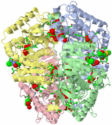 Image Asym./Biol. Unit - sites