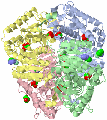 Image Asym./Biol. Unit