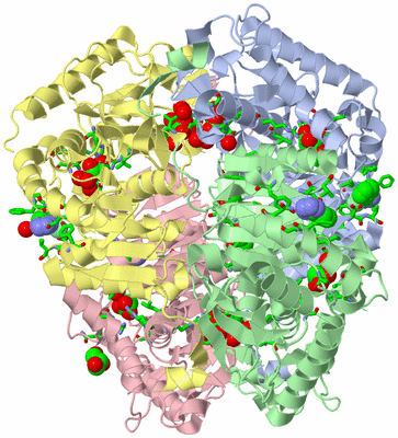 Image Asym./Biol. Unit - sites