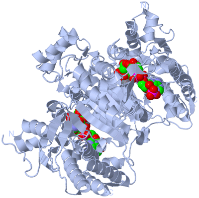 Image Biological Unit 1