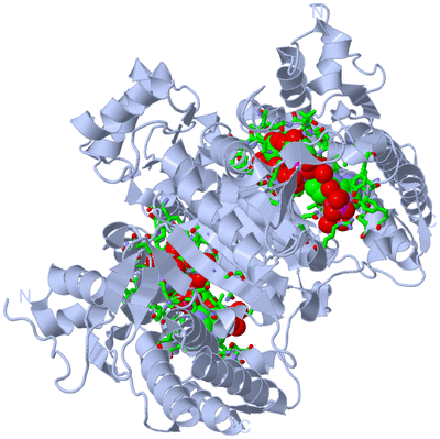 Image Biol. Unit 1 - sites