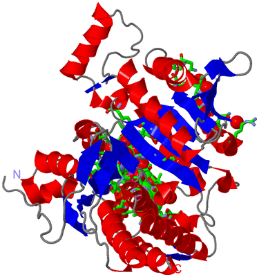 Image Asym. Unit - sites