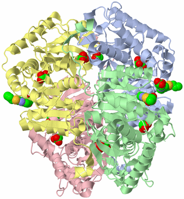 Image Asym./Biol. Unit