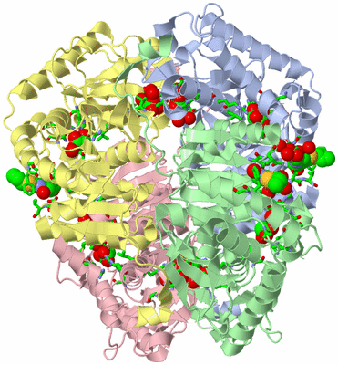 Image Asym./Biol. Unit - sites