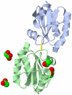 Image Asym./Biol. Unit