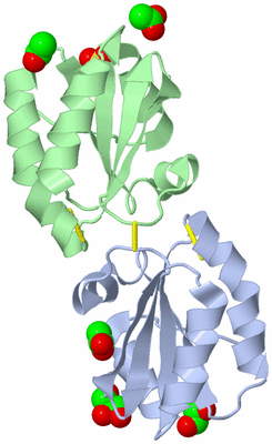 Image Asym./Biol. Unit