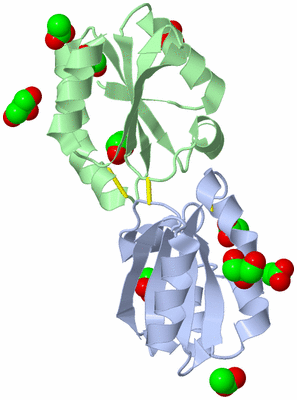 Image Asym./Biol. Unit