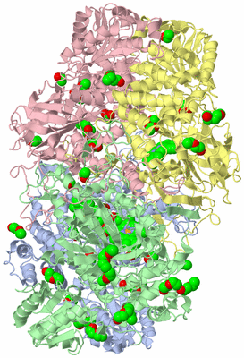 Image Asym./Biol. Unit