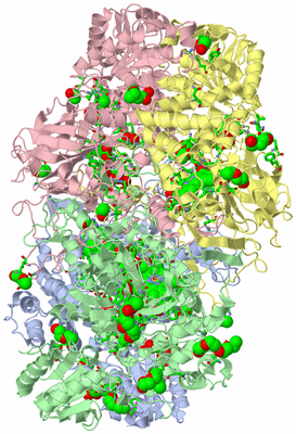 Image Asym./Biol. Unit - sites