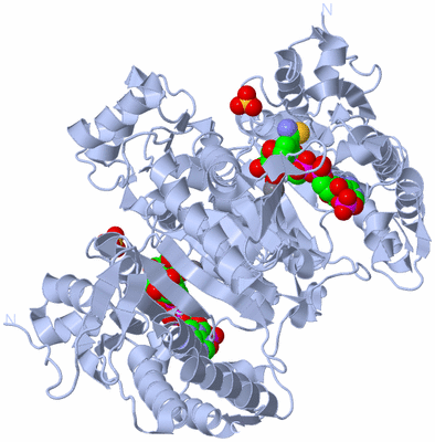 Image Biological Unit 1