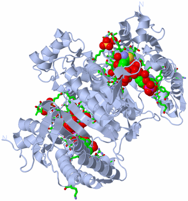 Image Biol. Unit 1 - sites