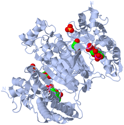 Image Biological Unit 1