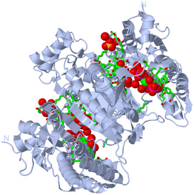 Image Biol. Unit 1 - sites