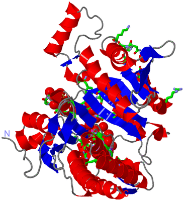 Image Asym. Unit - sites