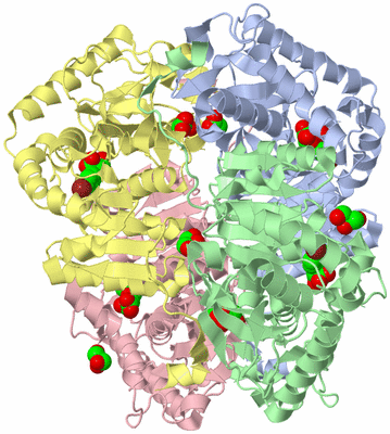 Image Asym./Biol. Unit