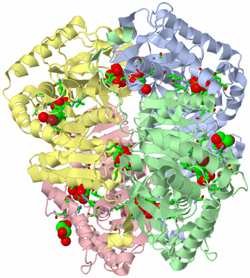 Image Asym./Biol. Unit - sites