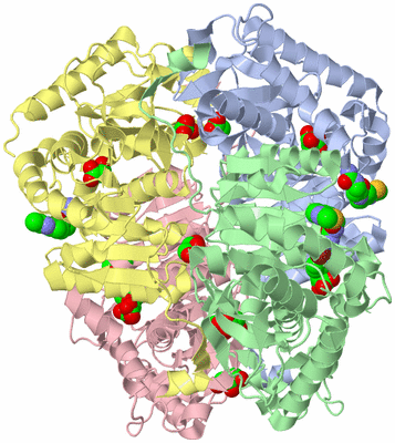 Image Asym./Biol. Unit