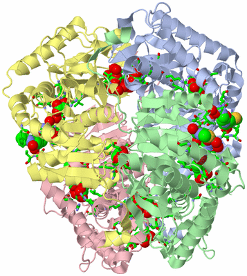 Image Asym./Biol. Unit - sites